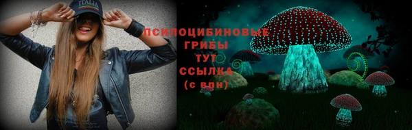apvp Сосновоборск