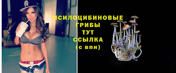 прущая мука Бородино