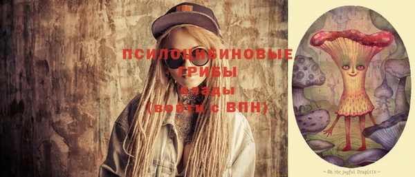 мдпв Сосновый Бор