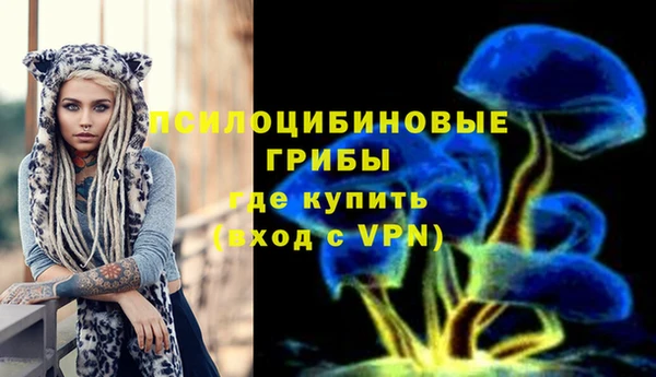 прущая мука Бородино