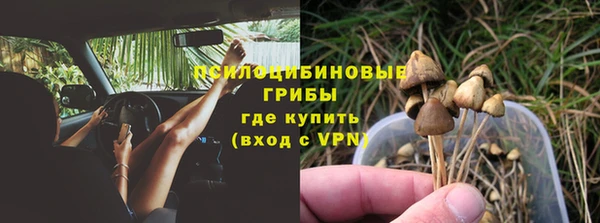 прущая мука Бородино
